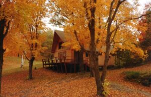 Exterior Cabin 5 in fall